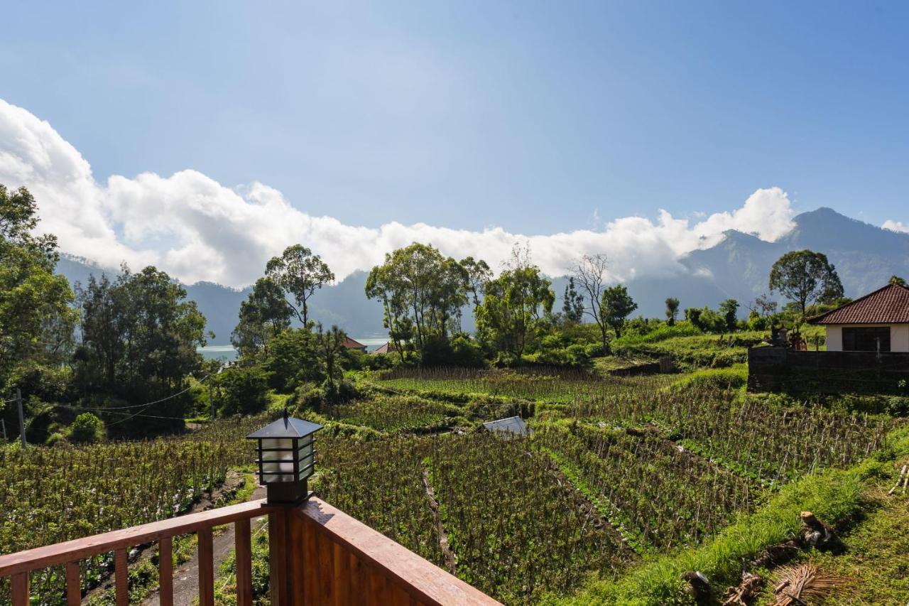 Mount Batur Villa Kintamani Exterior foto